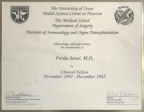 diploma2